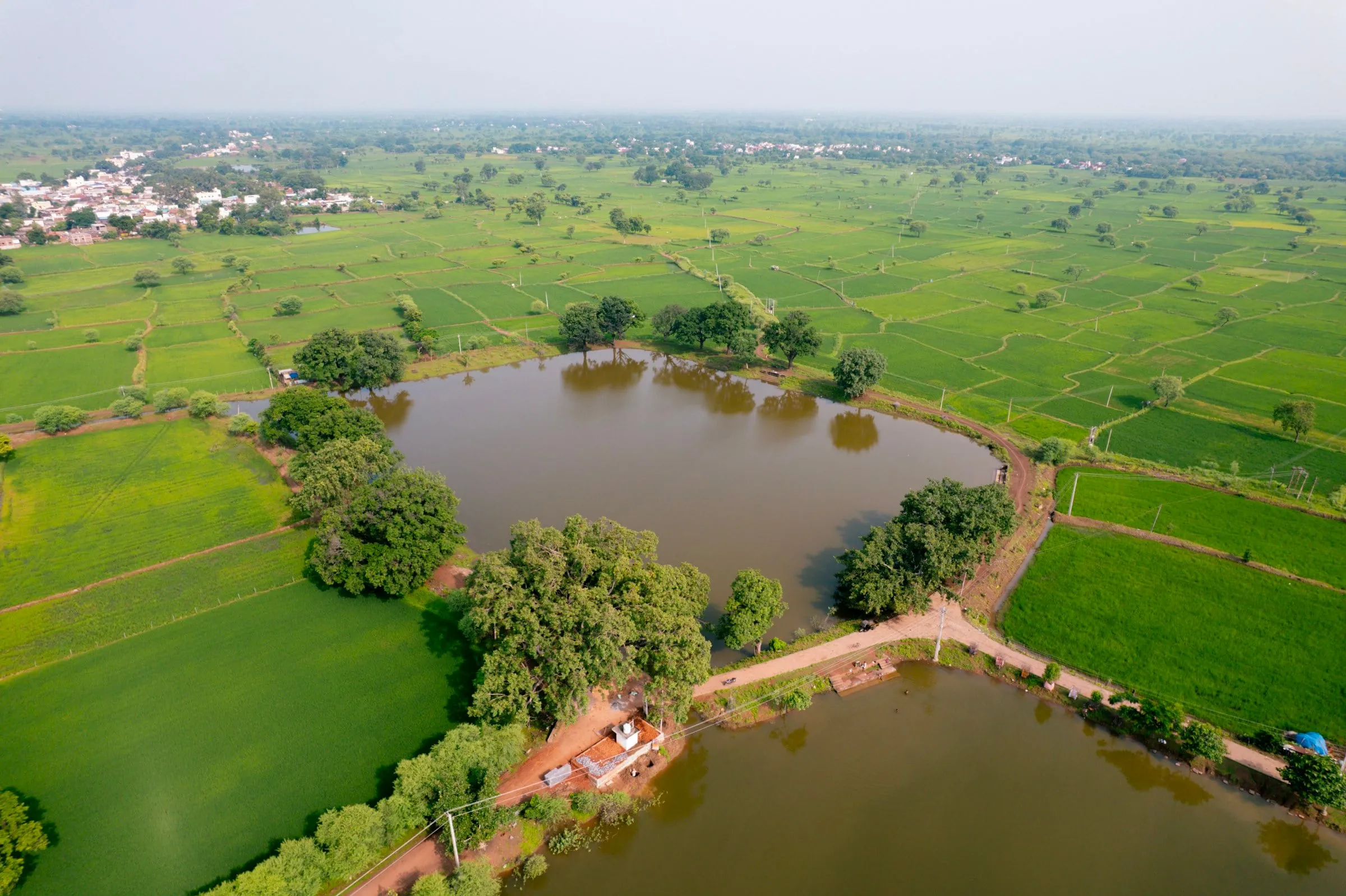 Aerial view of green fields and water in rural India